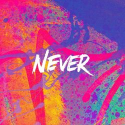 Cover of Never