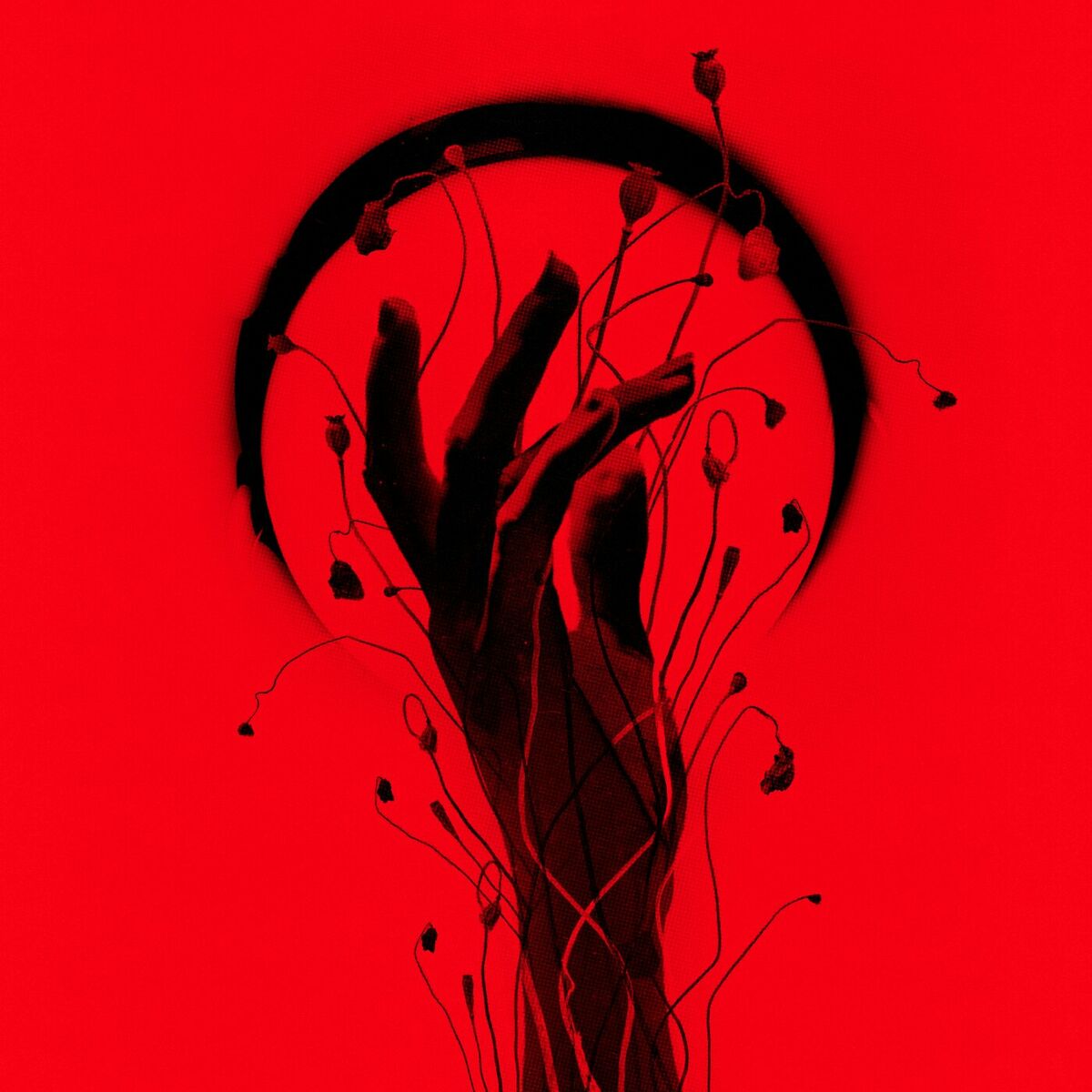 Album cover of All Too Late