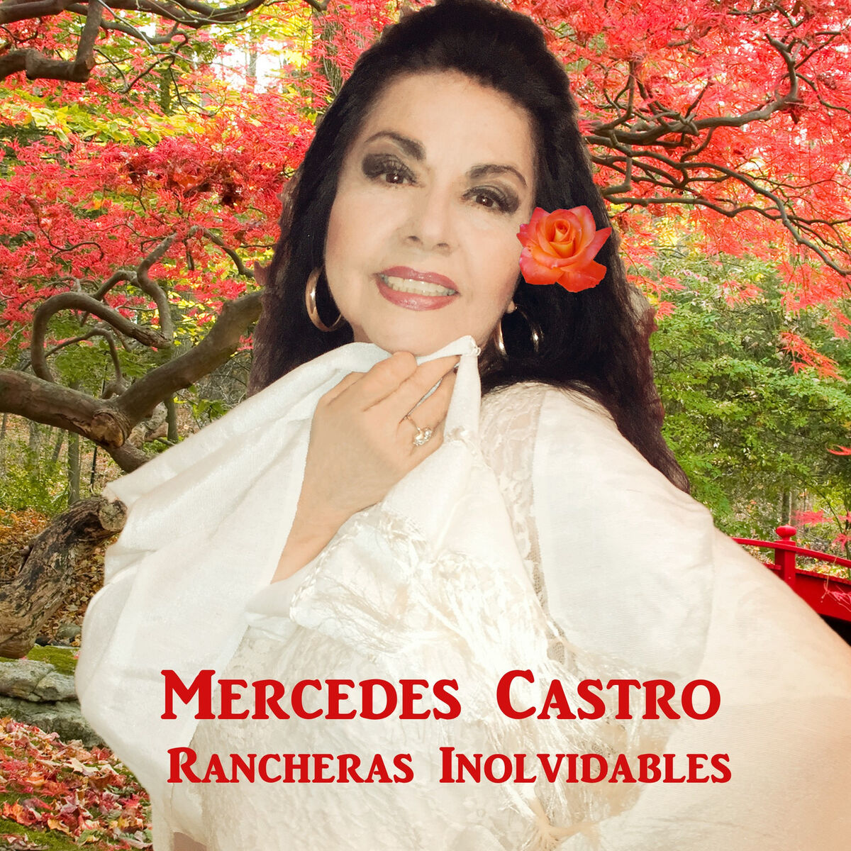 Album cover of Pena Tras Pena