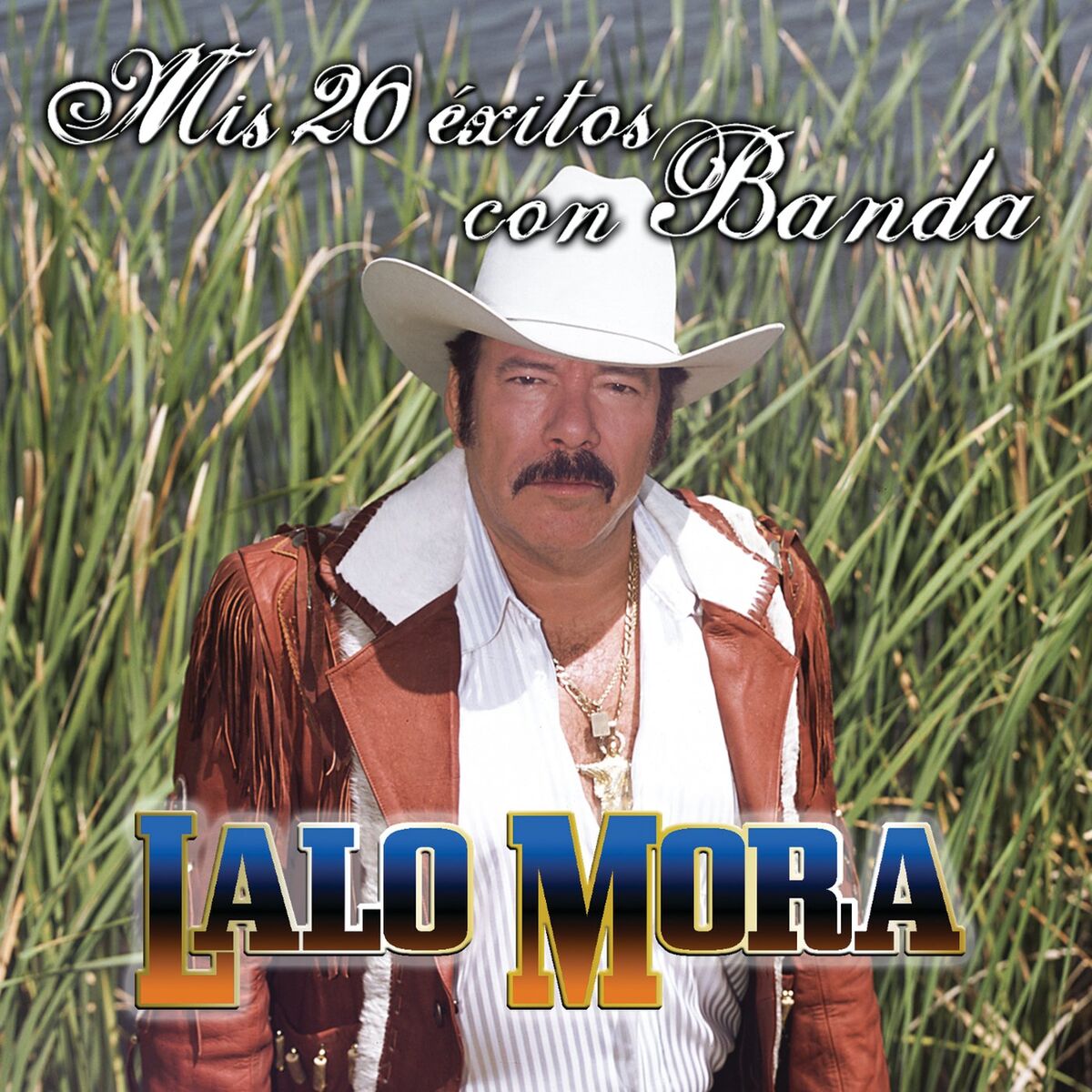 Album cover of Mis 20 Éxitos Con Banda