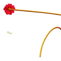 Cover of Flores