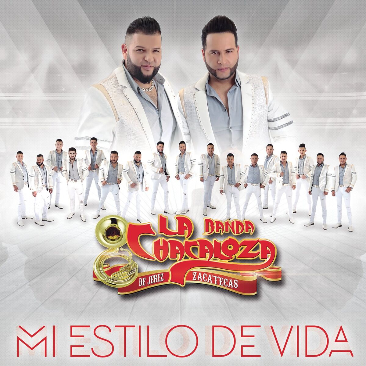 Album cover of Mi Estilo De Vida