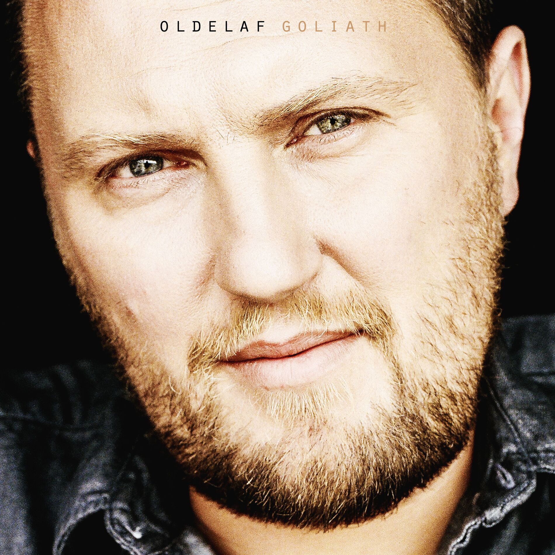 Album cover of Goliath