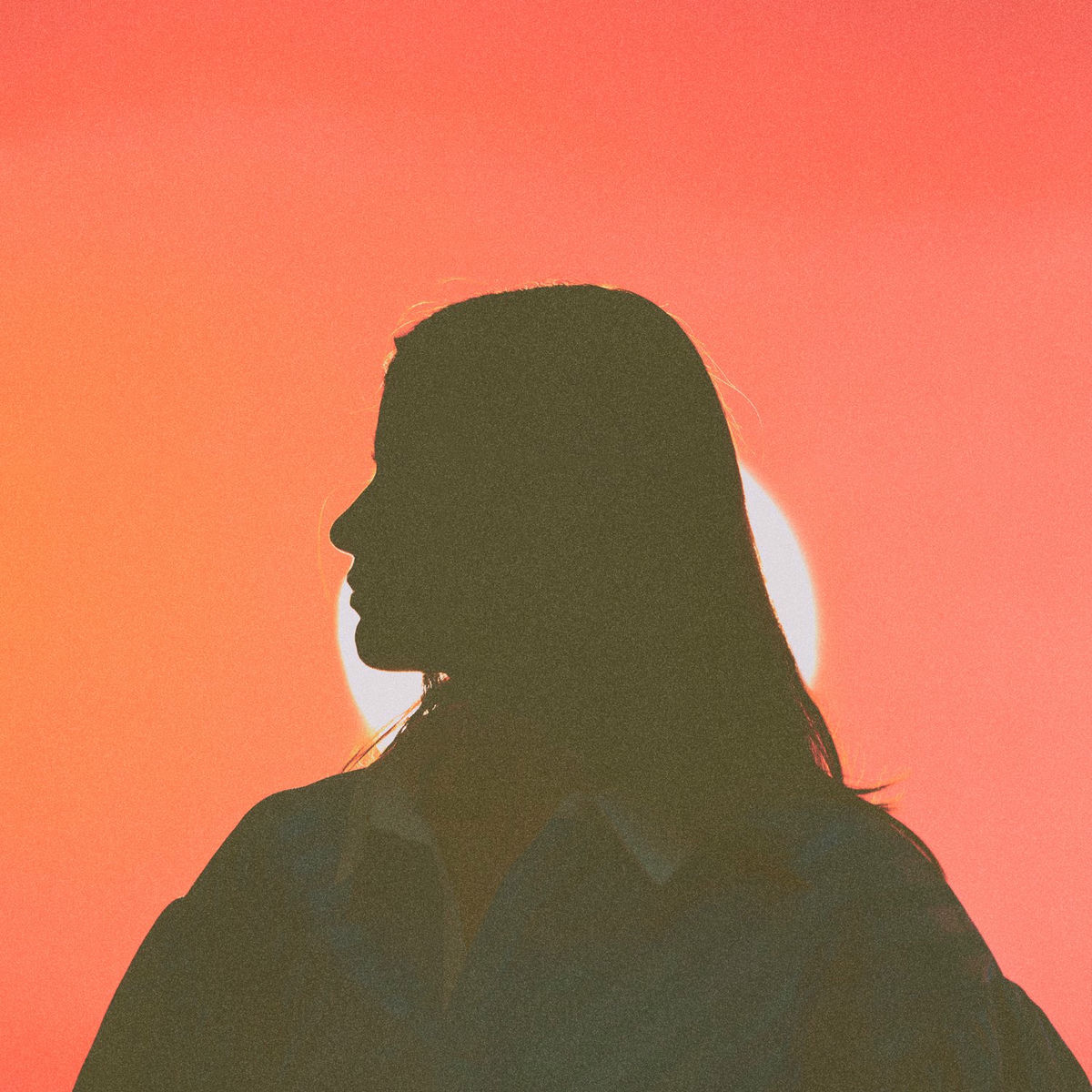 Album cover of Fade Into A Dream
