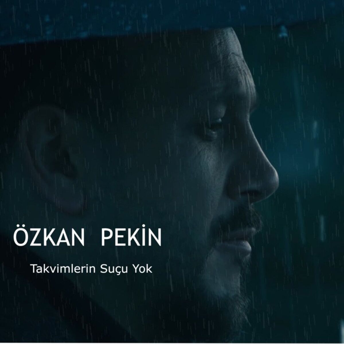 Album cover of Takvimlerin Suçu Yok