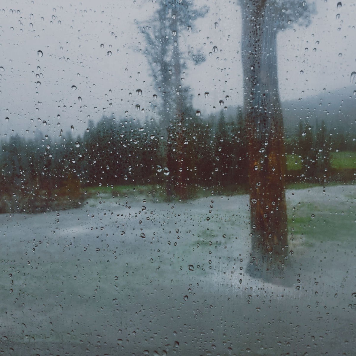 Album cover of dewdrops
