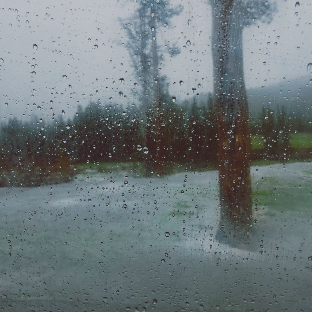 Album cover of dewdrops