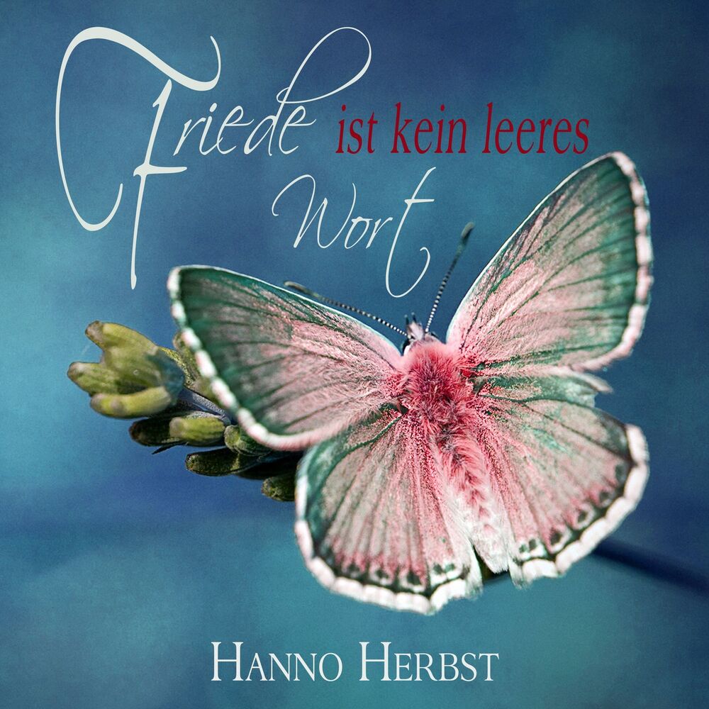 Picture of Friede ist kein leeres Wort