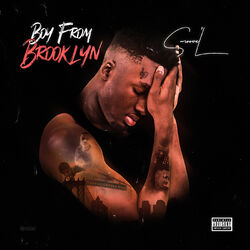Cover of Boy From Brooklyn