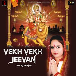 Cover of Vekh Vekh Jeewan