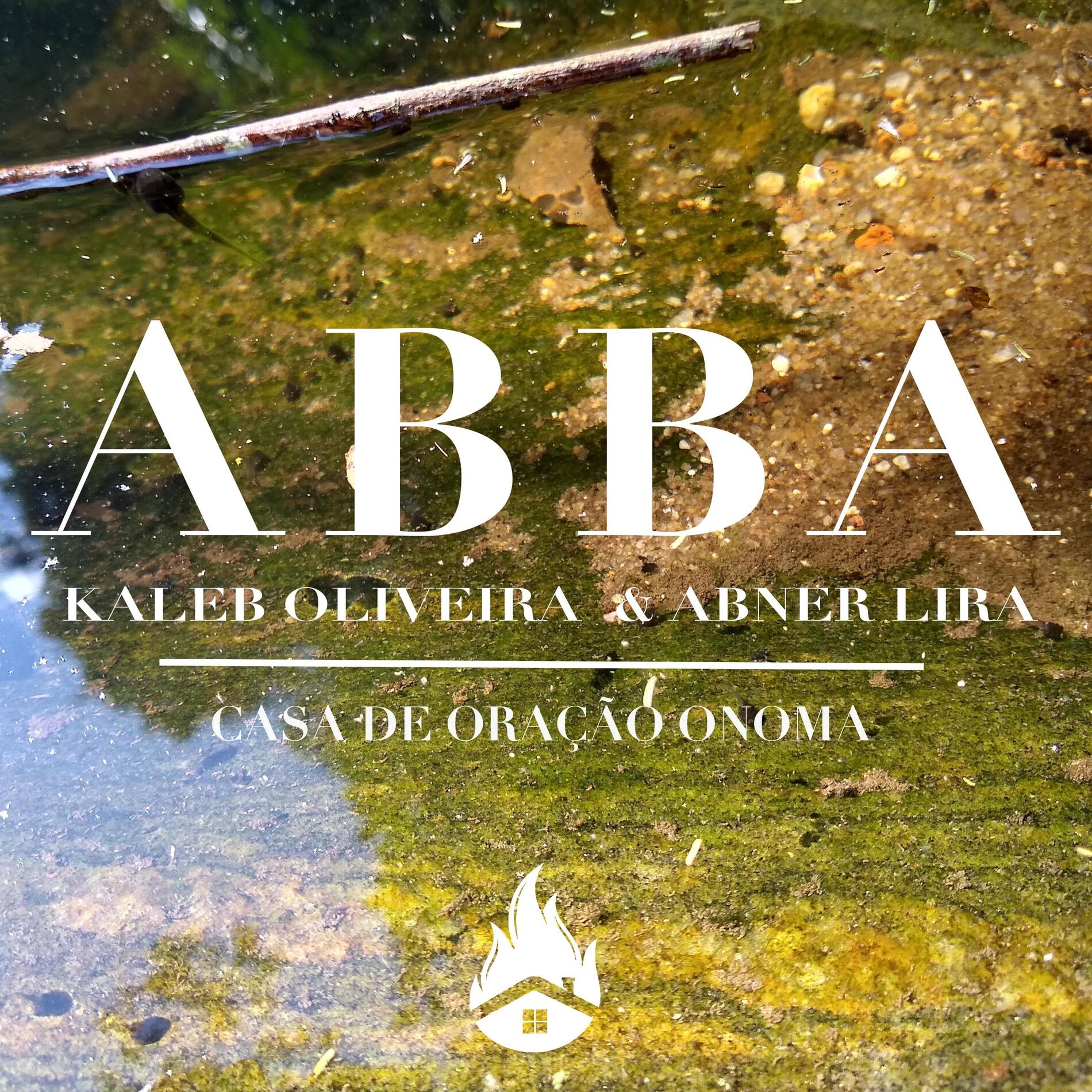 Album cover of ABBA soaking