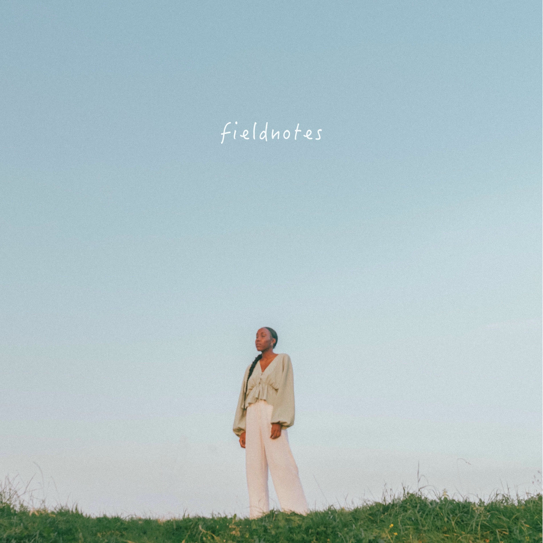 Album cover of FIELDNOTES