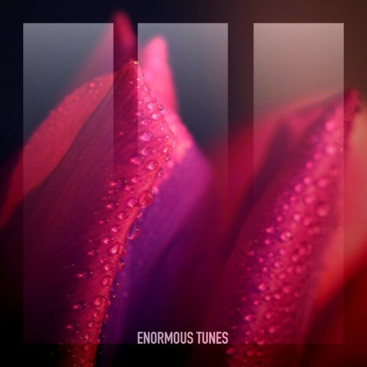 Album cover of Erase Us