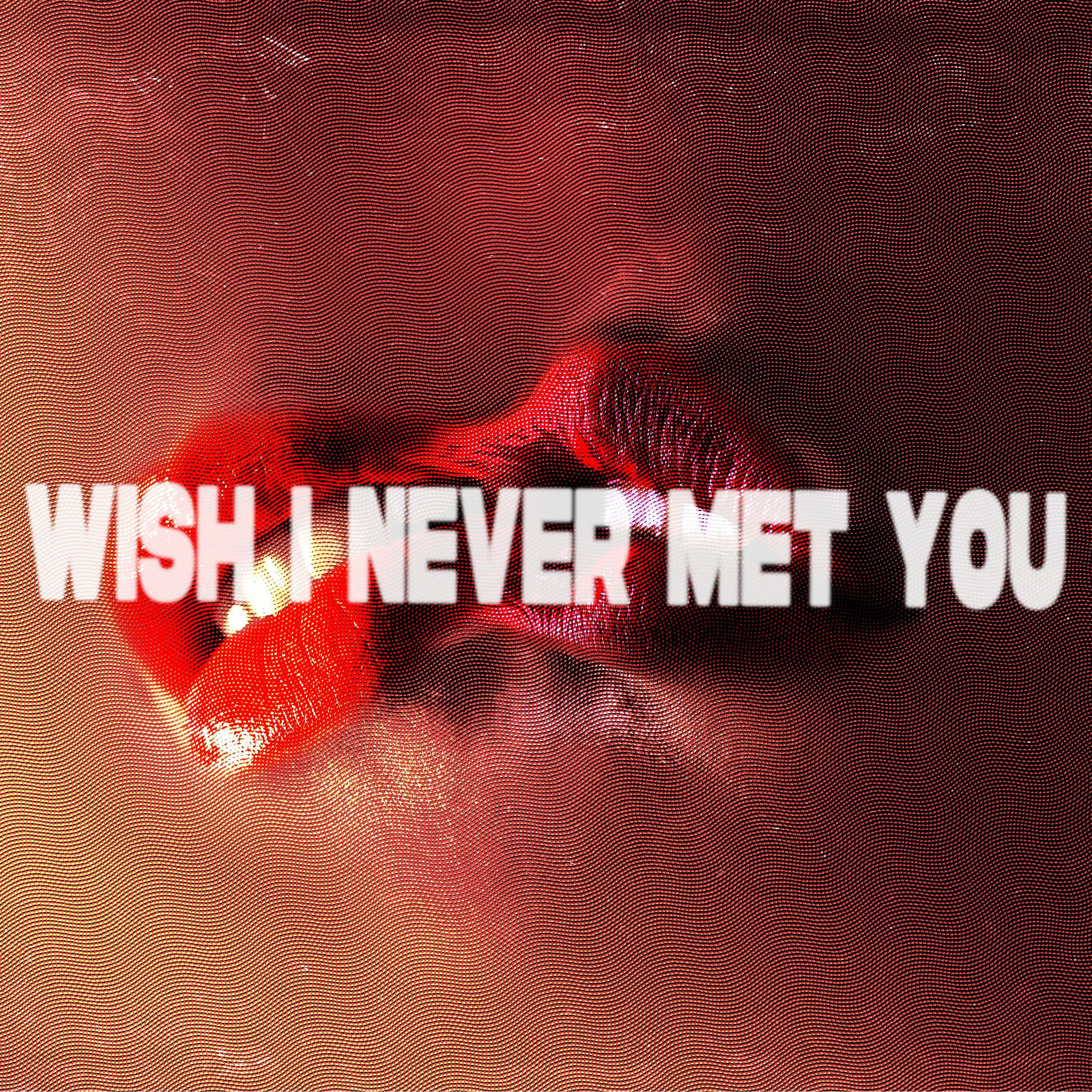 Album cover of Wish I Never Met You