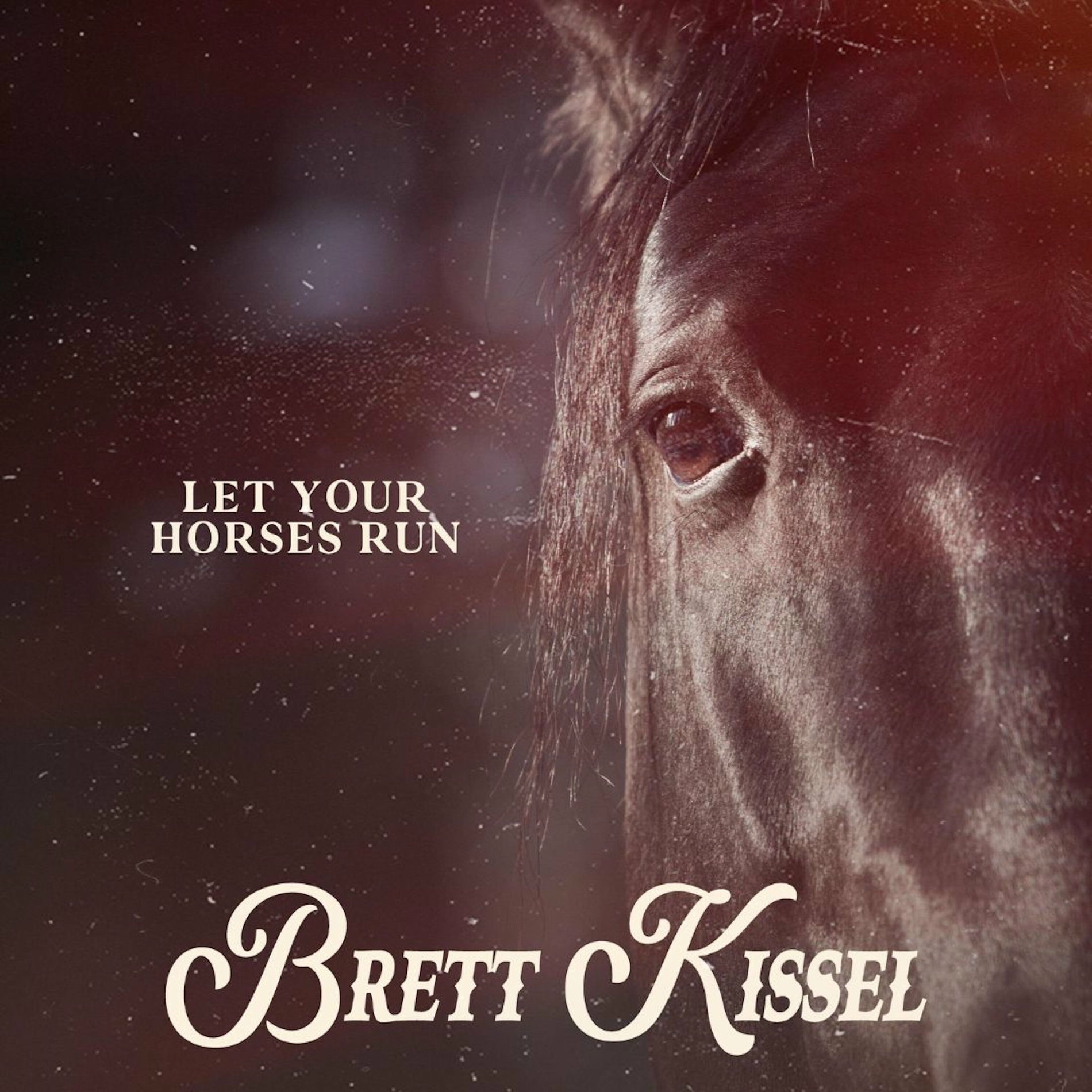 Album cover of Let Your Horses Run
