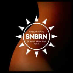 Cover of Sexual Healing (SNBRN Remix)