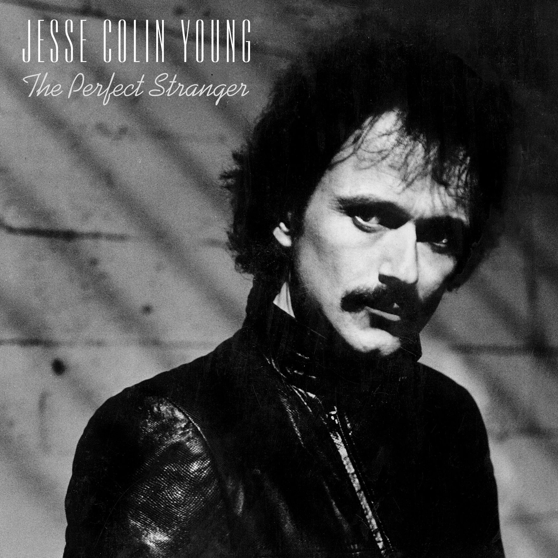 Album cover of The Perfect Stranger