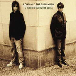 Cover of B-Sides and Live (2001 - 2005)