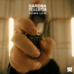 Cover of Down Low