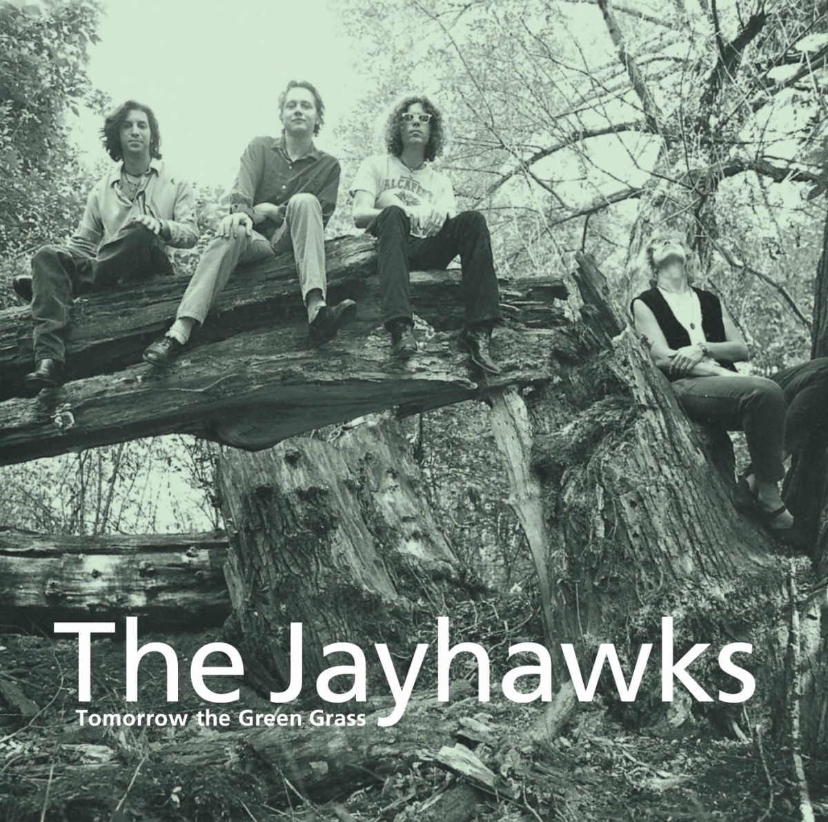 Album cover of Blue