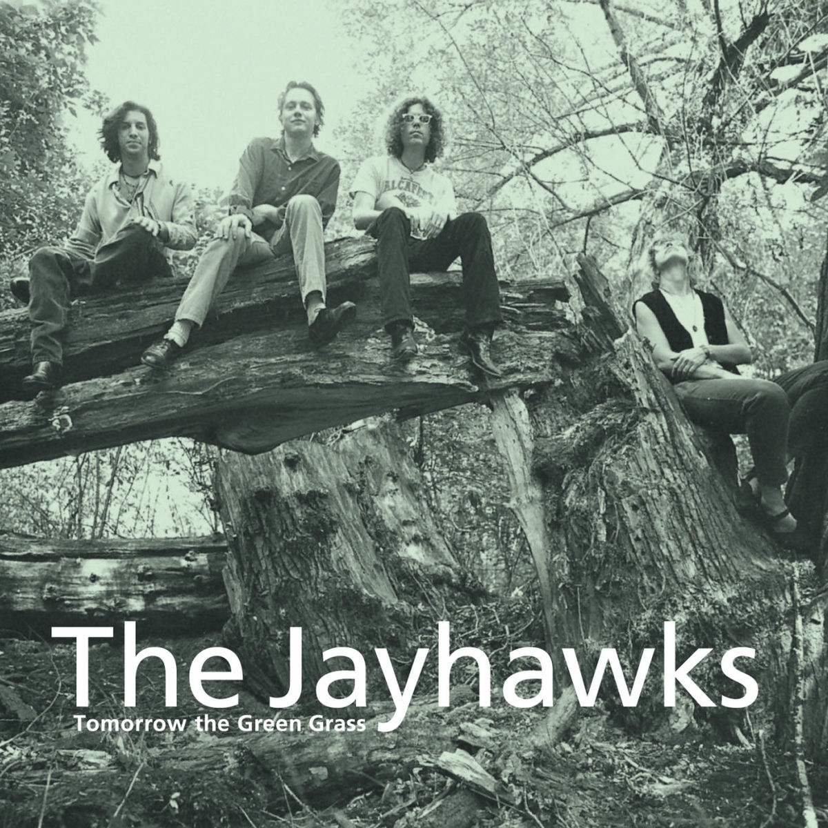 Album cover of Tomorrow The Green Grass