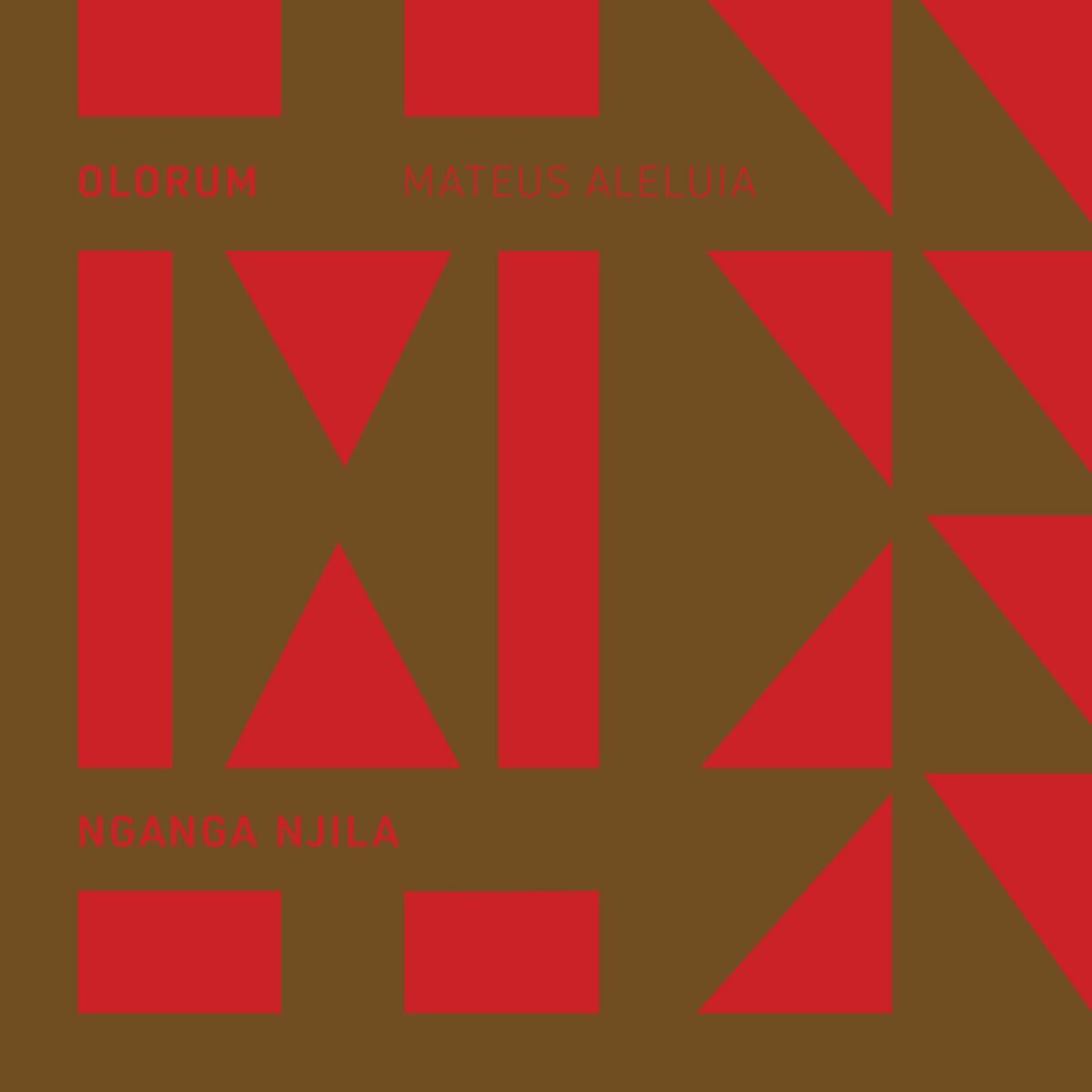 Album cover of Nganga Njila
