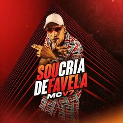 Cover of Sou Cria de Favela
