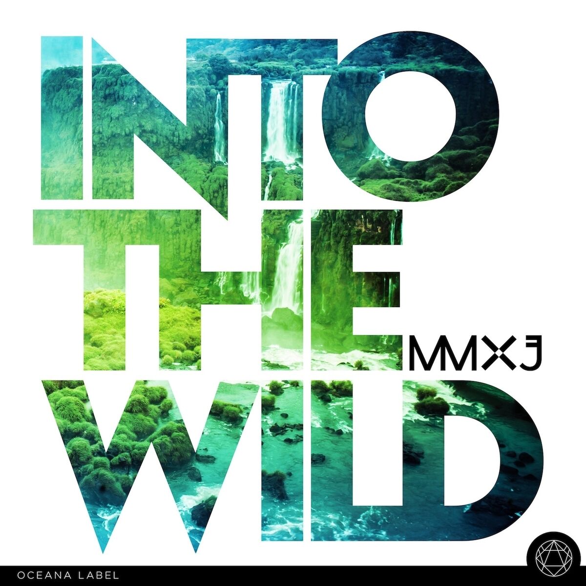 Album cover of Into The Wild