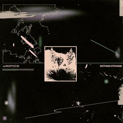 Cover of Nothing Strange