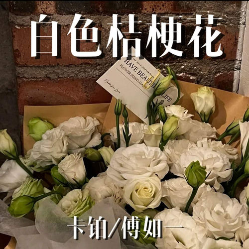白色桔梗花