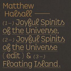Cover of Joyful Spirits of the Universe