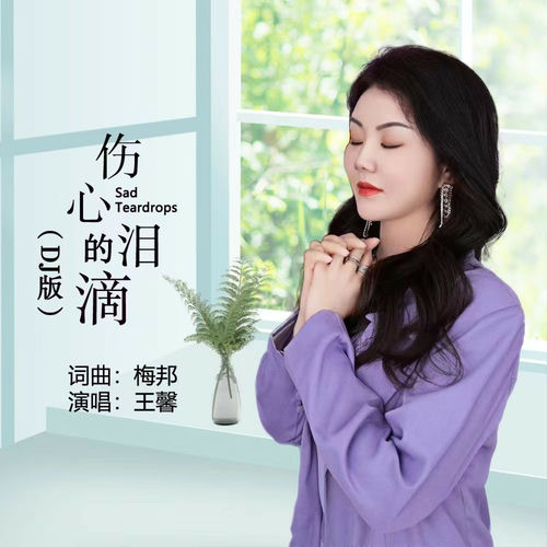 伤心的泪滴 (DJ王馨版)