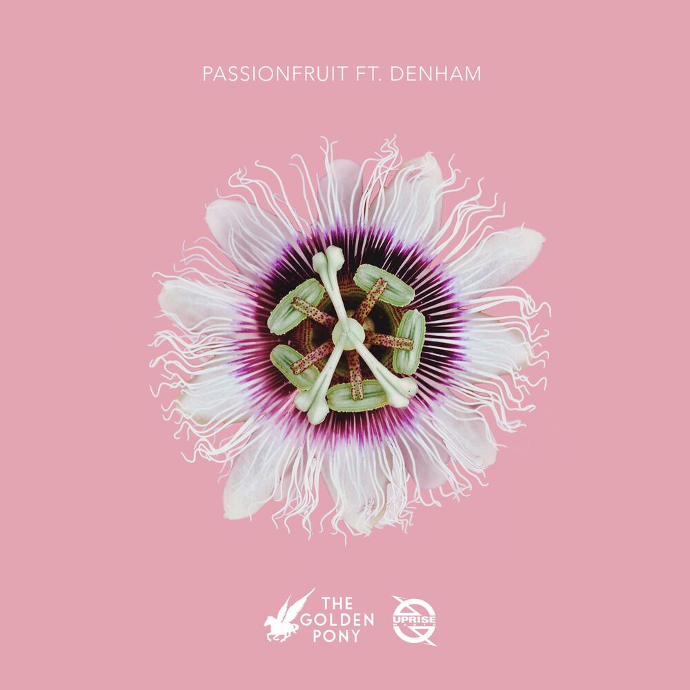 Picture of Passionfruit