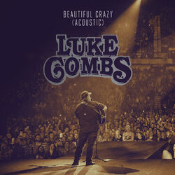 Cover of Beautiful Crazy (Acoustic)