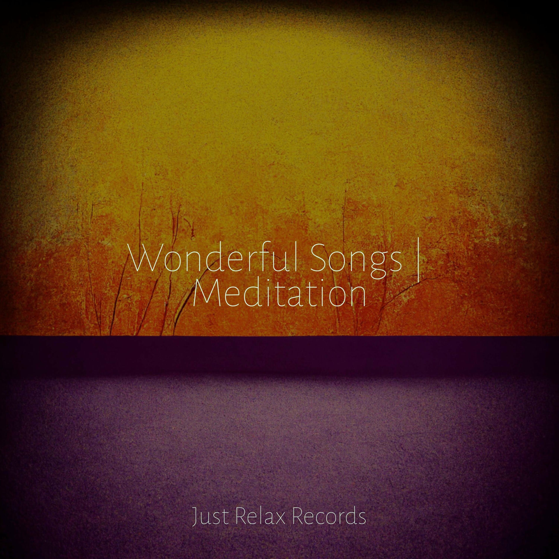 Album cover of Wonderful Songs | Meditation