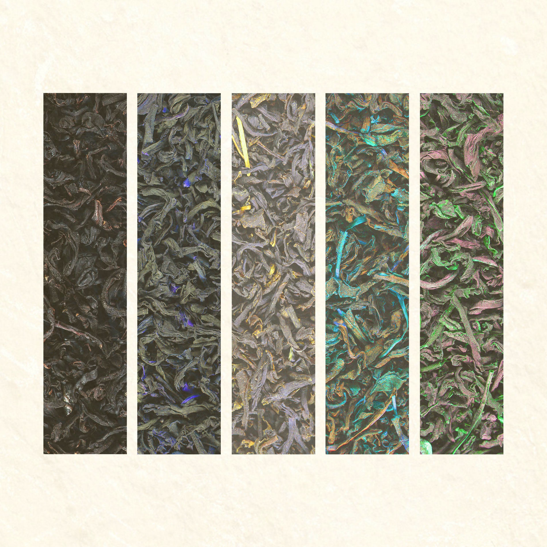 Album cover of White Tea (feat. dr. nibbles)