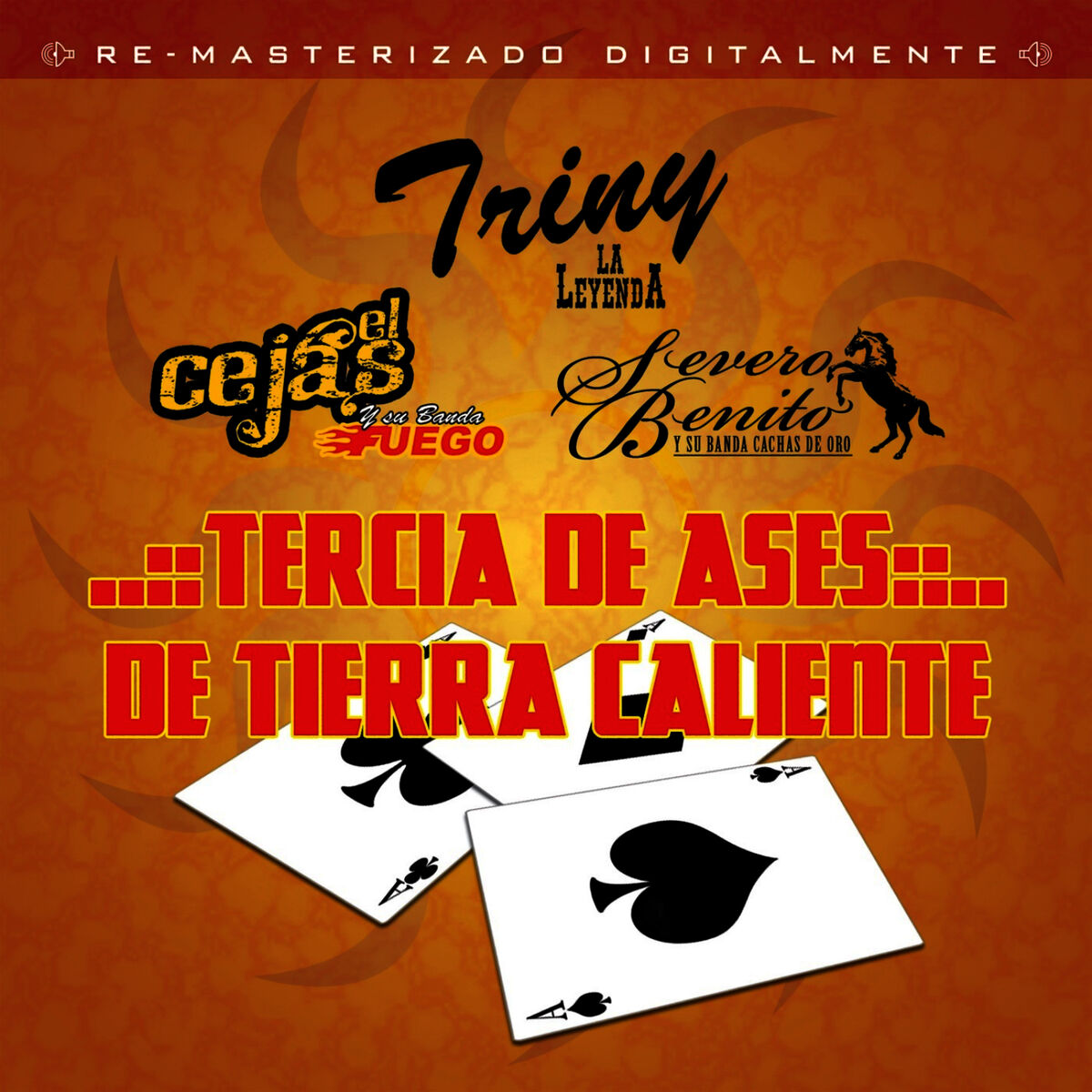 Album cover of Tercia de Ases de Tierra Caliente