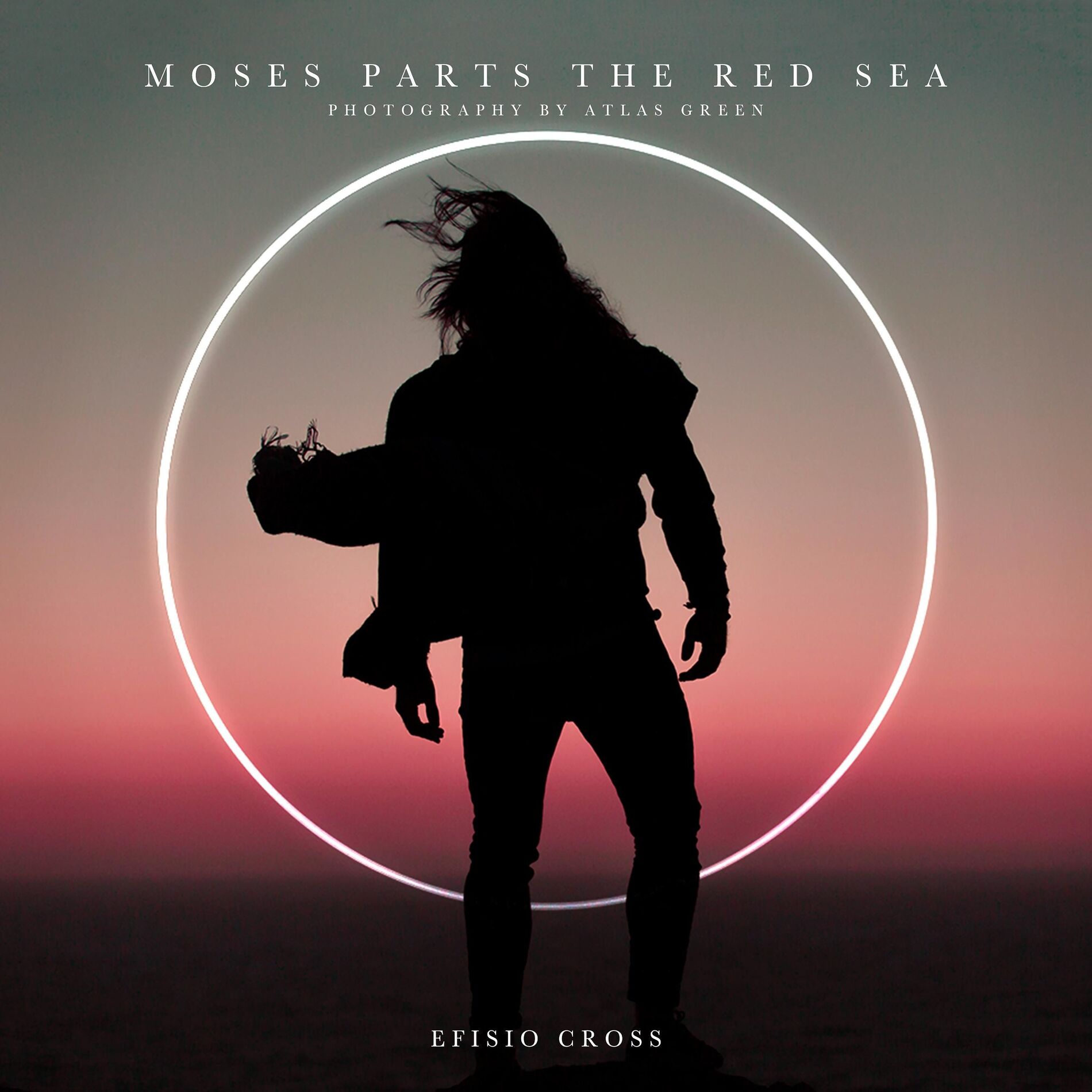 Album cover of Moses Parts The Red Sea