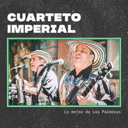 Cover of Lo Mejor de los Palmeras