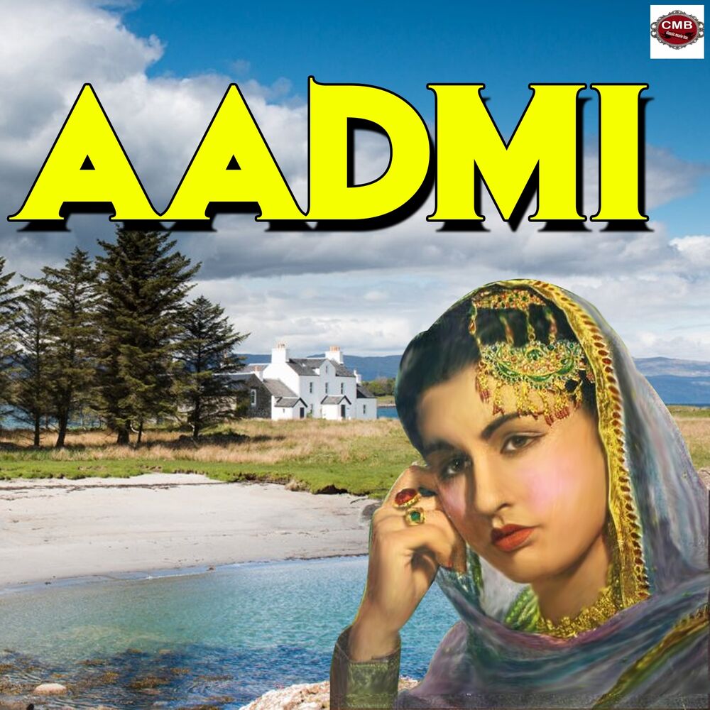 Picture of Aadmi