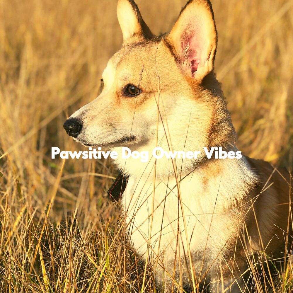 Picture of Pawsitive Dog Owner Vibes