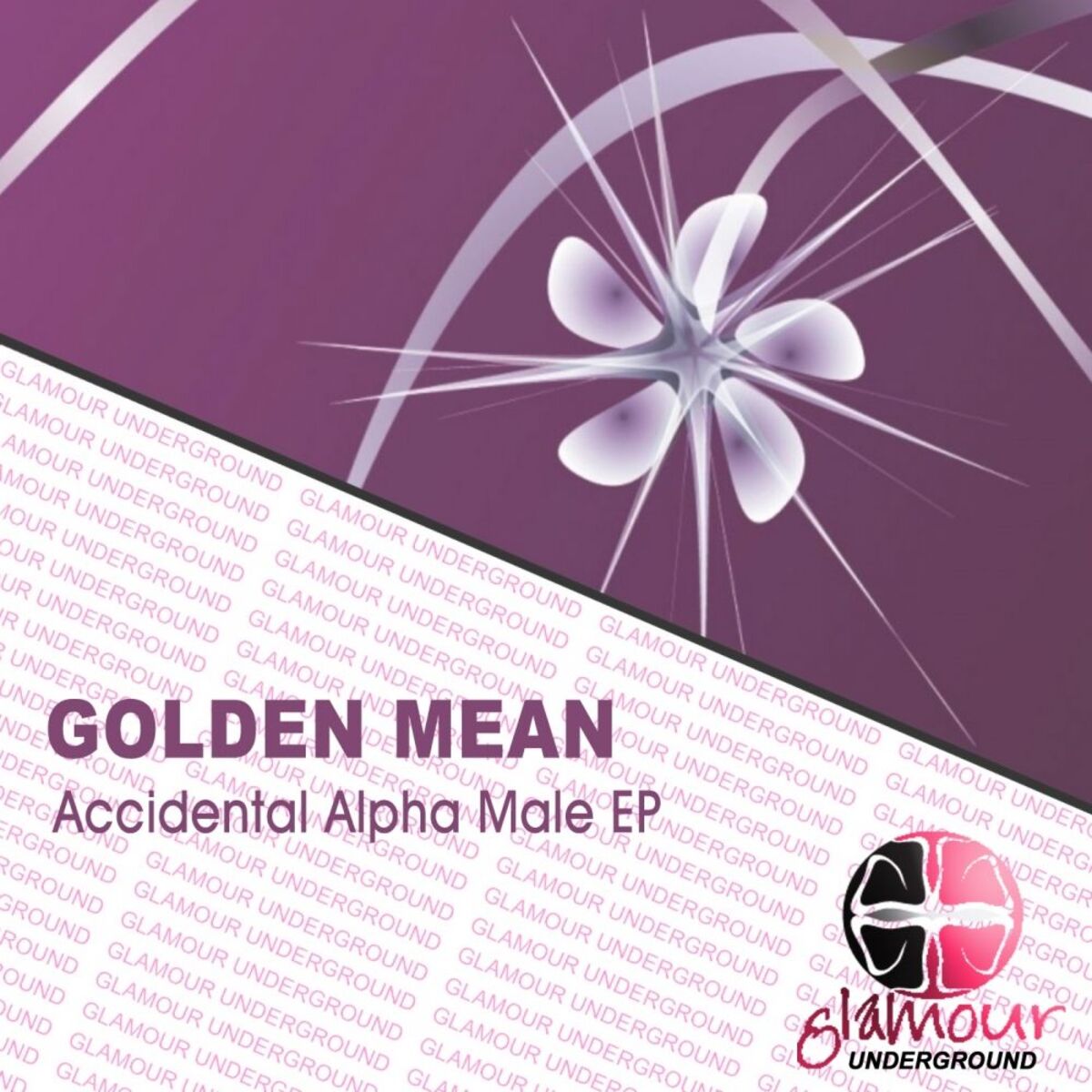 Album cover of Accidental Alpha Male EP