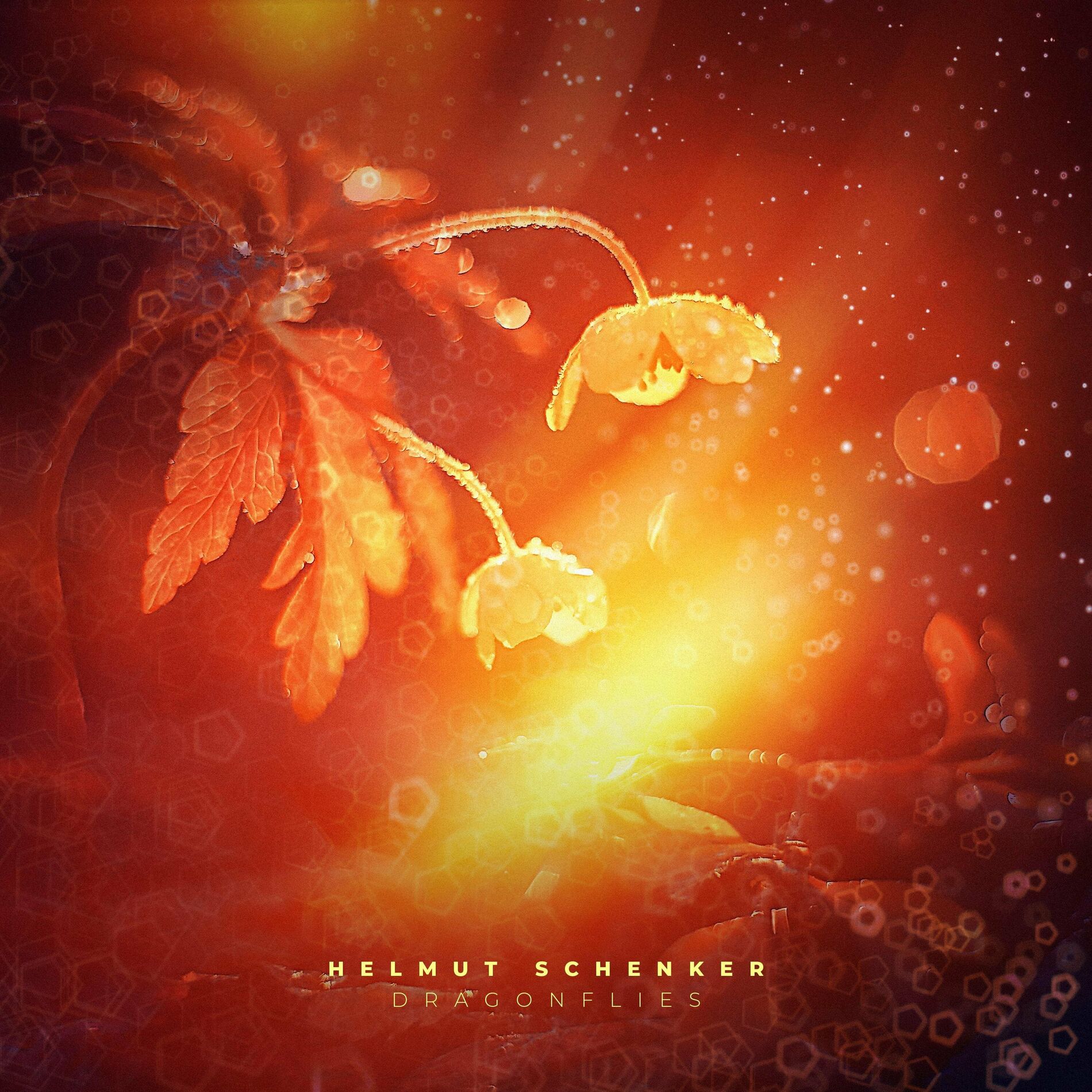 Album cover of Above the Barley Fields