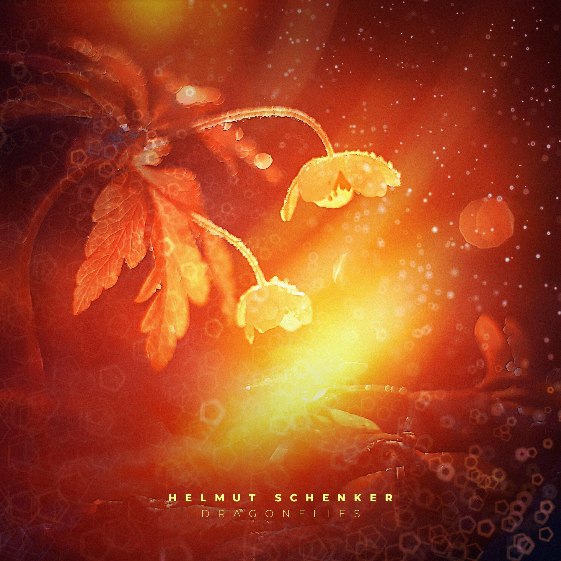 Album cover of Dragonflies