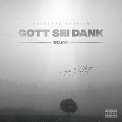 Cover of GOTT SEI DANK
