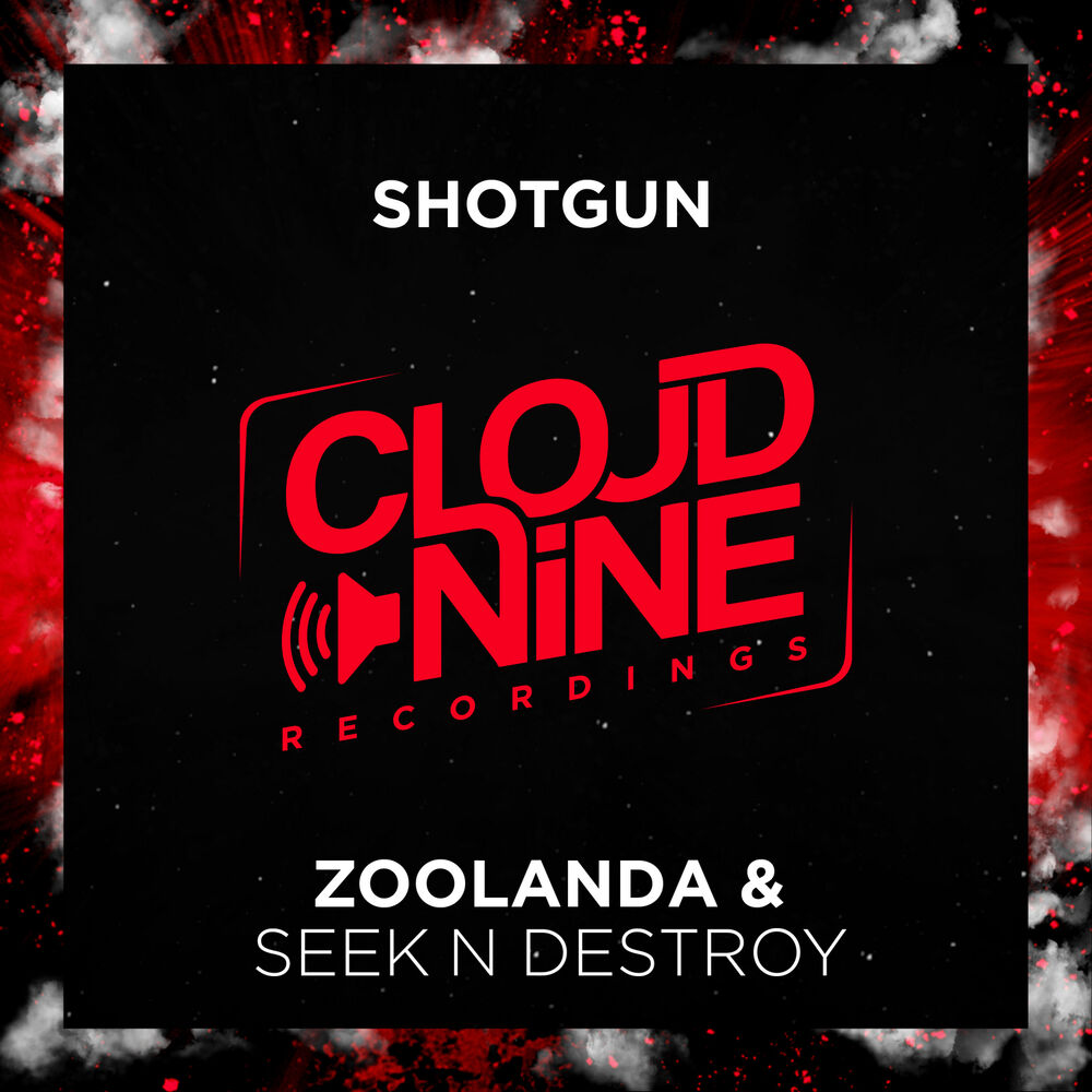 Picture of Shotgun