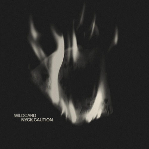 Wildcard
