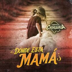 Cover of Donde Esta Mama