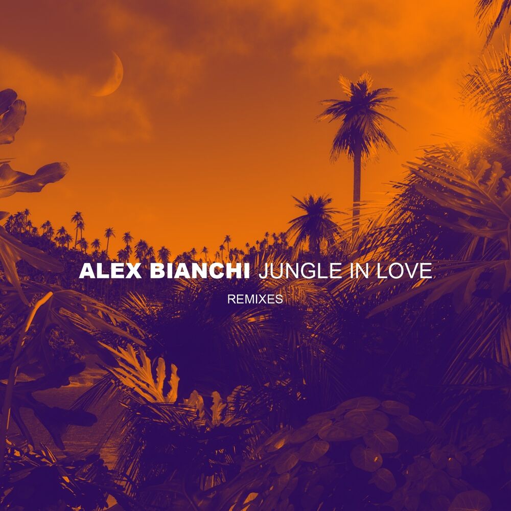 Picture of Jungle in Love (Remixes)