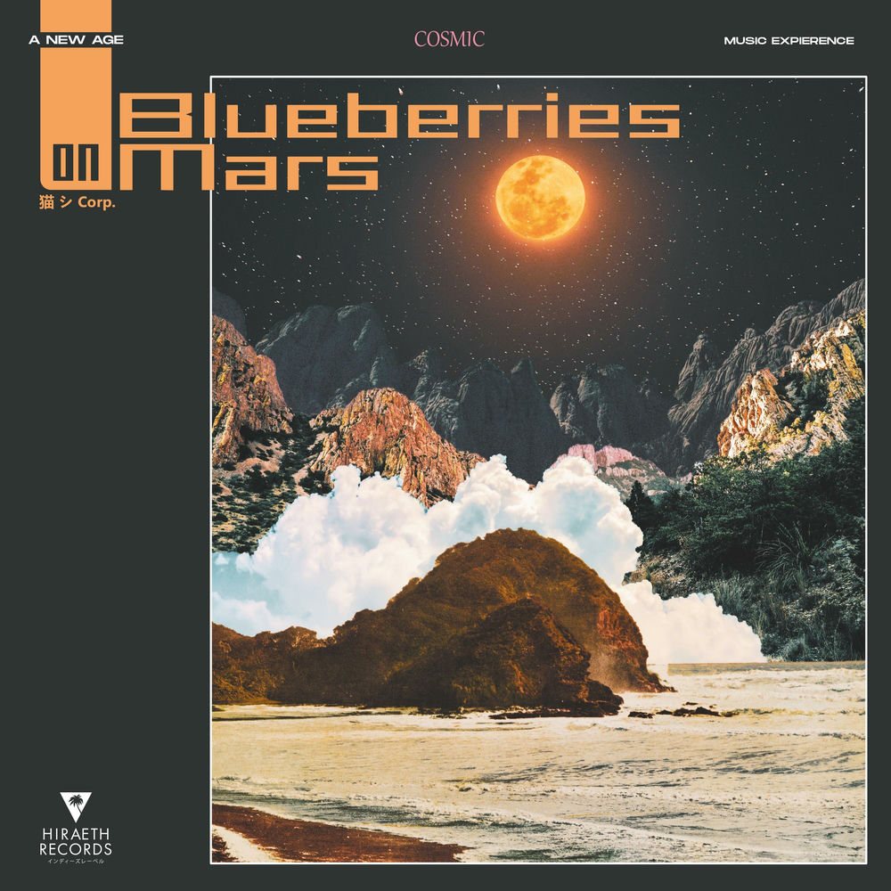 Blueberries on Mars cover